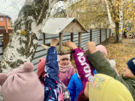 "Синичкин день" "Синичкин день".